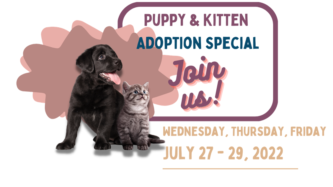 
    Puppy & Kitten Same-Day Adoption Special