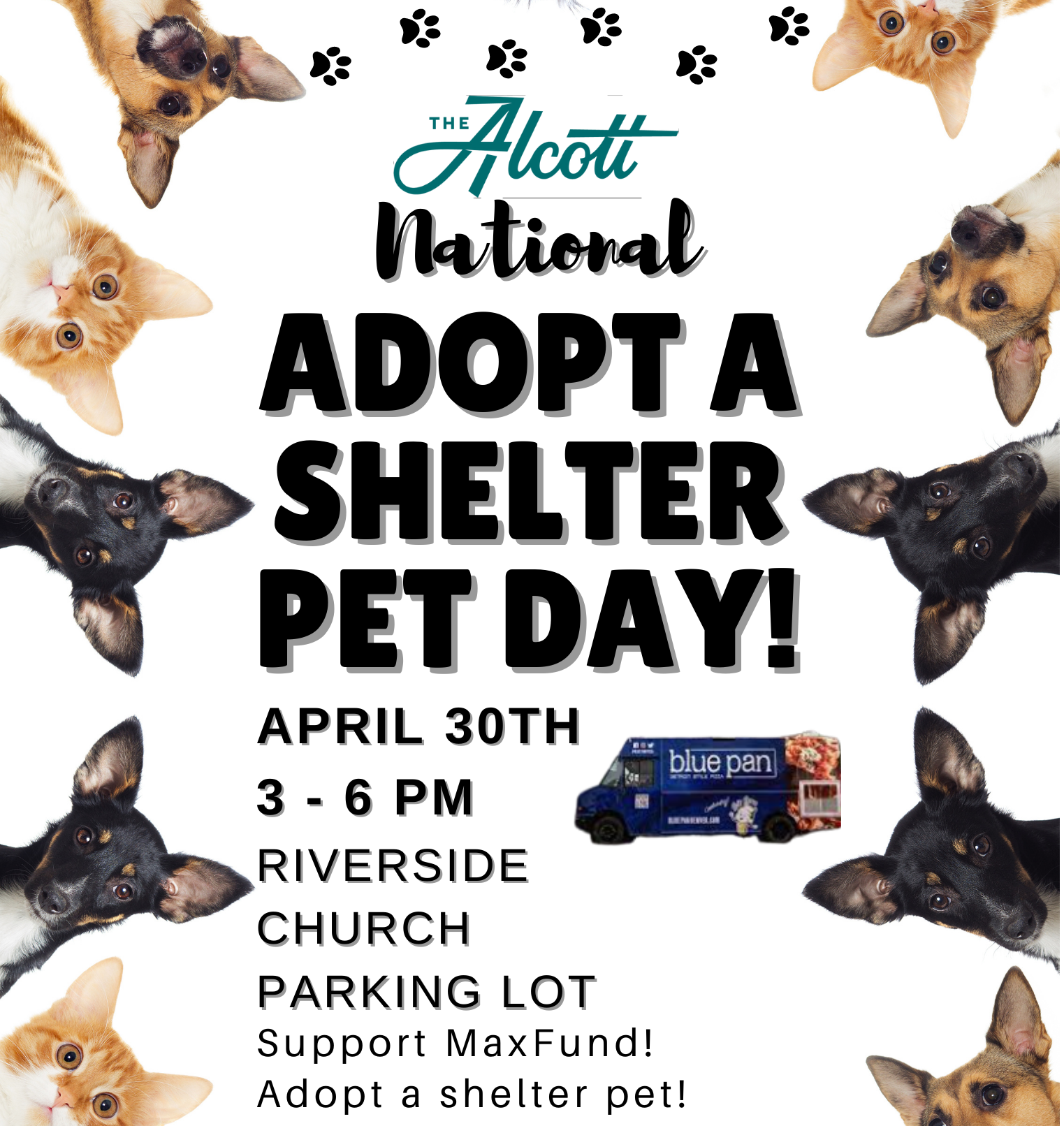 
National Adopt a Shelter Pet Day