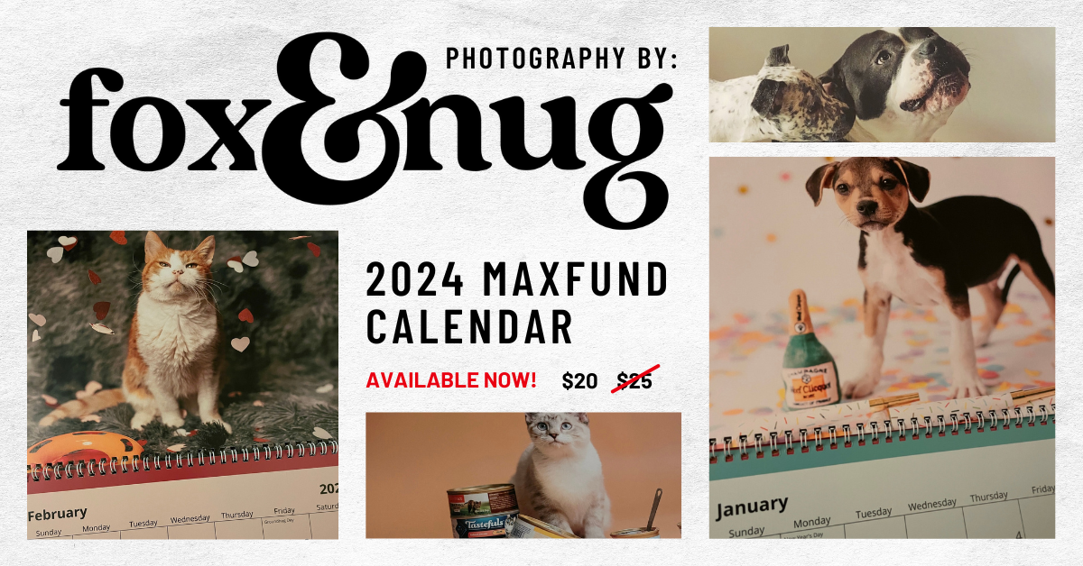 
2024 MaxFund Calendars AVAILABLE