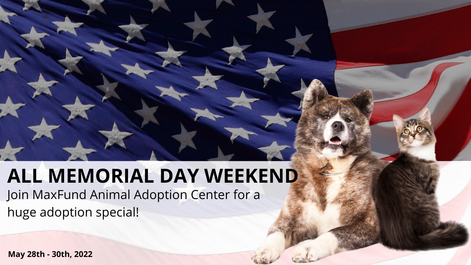 
    Memorial Day Weekend Adoption Special