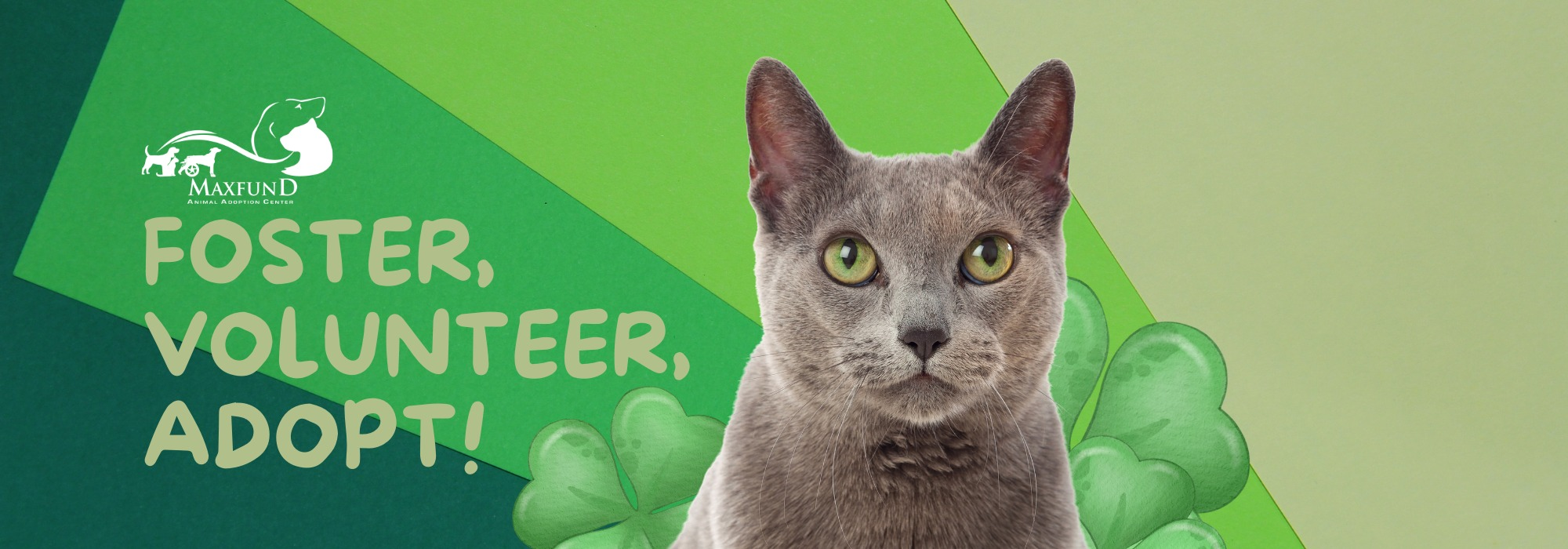 MaxFund Animal Adoption Center | Denver's No-Kill Animal Shelter | Denver Animal Rescue MaxFund Animal Adoption Center | Denver's No-Kill Animal Shelter | Denver Animal Rescue