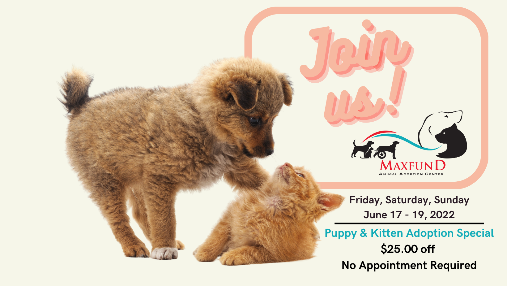 
Puppy & Kitten Adoption Special