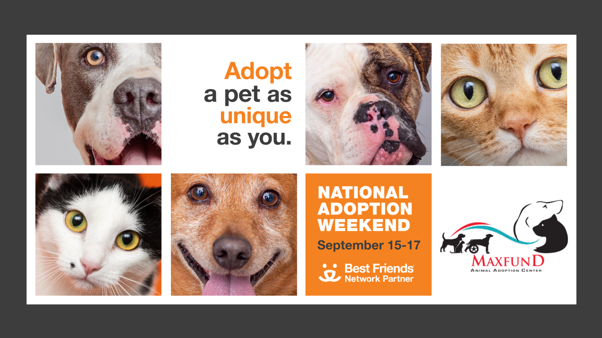 Best friends hot sale adoption center