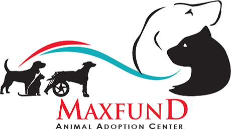 MaxFund logo