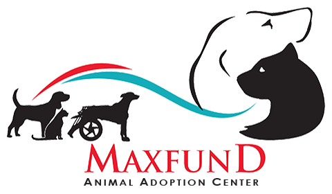 MaxFund Veterinary Clinic