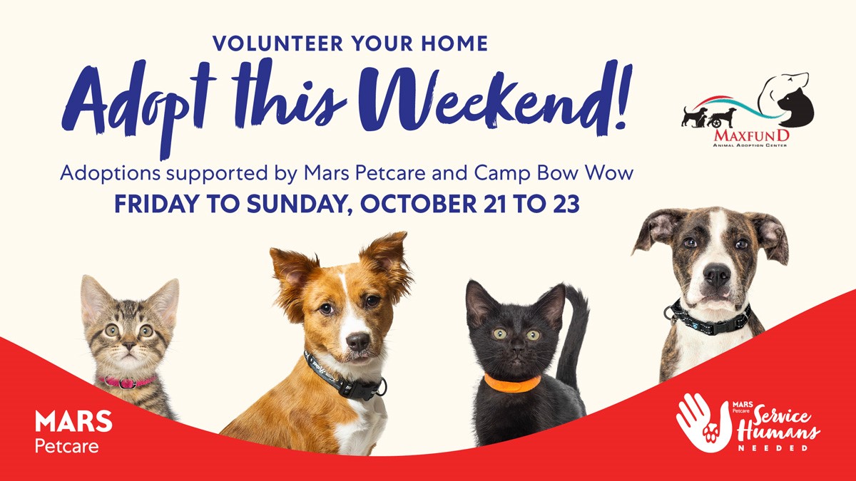 
Adoption Event: Mars Petcare & Camp Bow Wow
